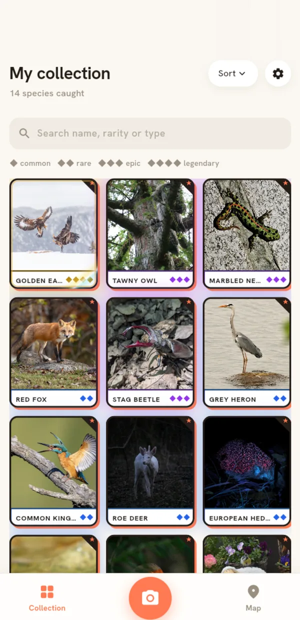 A collection of 14 caught species with coloured rarity borders
