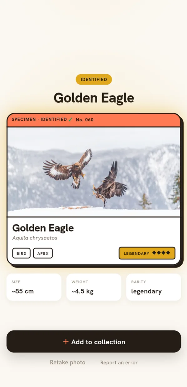 Kaught identifying a Golden Eagle as a legendary catch
