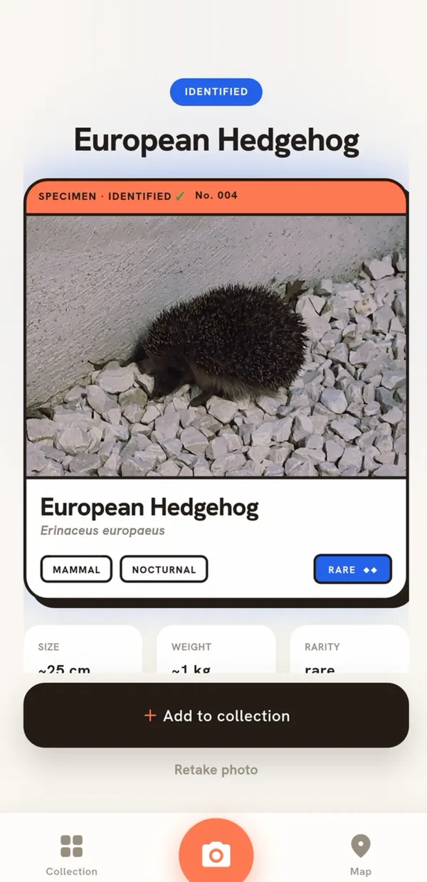 A species detail card for a rare European Hedgehog with type and stats